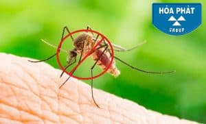 Cách đuổi muỗi tự nhiên