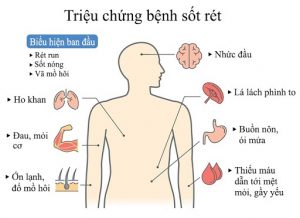 Cách phòng chống muỗi