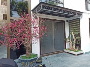 Lắp đặt cửa lưới chống muỗi