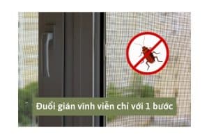 ưu điểm cửa lưới chống muỗi và côn trùng
