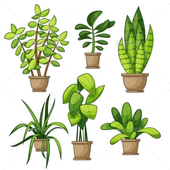 Trồng cây giúp môi trường xanh - sạch - đẹp